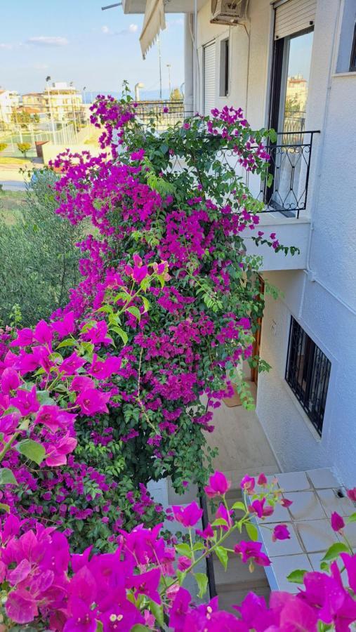 Artemis And Fillo Apartment Loutra Edipsou (Evia)